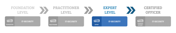 IT-Security expert